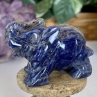 Carved Blue Sodalite Elephant Figurine Gemstone Animal Stone Carving Statue 2 1 