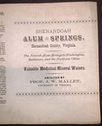 1873  Shenandoah Alum Springs  Advertisment  Virginia  Medicinal Mineral Waters