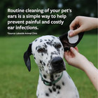 Cat Dog Ear Drops Infection Antibiotic Treatment Medicine Yeast Fungus Itching