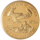 2013-w 1 Oz Proof American Gold Eagle Coin  box  Coa 