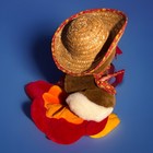 Dandee 13  Singing Turkey - Sings And Dances - Mint Condition