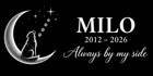 Personalized Dog Cat Memorial Stone Granite Grave Marker Photo Engraved 6x12