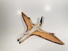 Schleich Dinosaur Toy Majestic Quetzalcoatlus Prehistoric Figure Retired 2008