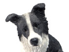 Border Collie Figurine Sculpture Sitting Black   White By Castagna 6  Italy