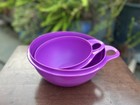 Tupperware Thatsa Bowls 2 Piece Set Purple 12cups And 6 Cups New