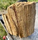 Freestanding  18  Petrified Fossil Wood-agate   Chalcedony-druzy-amazing Detail