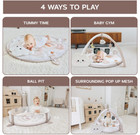 6-in-1 Xl Play Mat   Play Gym  Baby Gym  Baby Activity Gym  Sensory Exploration