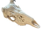 Deer Skull Mount For Antlers Taxidermy Euro Mounting 