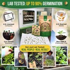 30 Herb Seeds - Medicinal   Tea Variety Pack