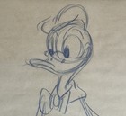 Original Production Drawing Sketch Of Donald Duck Disney 1950s Framed