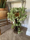 Antique Vintage Chinese Hand Woven Rattan Bamboo Plant Stand Rare Find