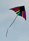 Delta Kite Single Line Huge 108 X 59    Reel   Line   Swivel   Tail   Bag Combo
