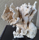 Large Dry Coral Fossil - Aquarium Rock   10 1 2 Lbs   12  X 12  X 9     Item 101