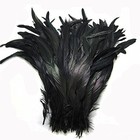 Rooster Coque Tail Feathers 12-14 Inch Black 25 Pack Costume Craft Decoration