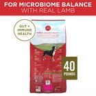 Purina One Dry Dog Food  Natural High Protein With Real Chicken   Rice  40 Lb