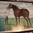 Rare Antique Dated 1911 Dr Legear Largest Horse In The World Veterinary Meds