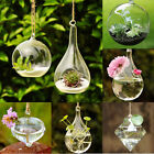 Terrarium Container Flower Planter Hanging Glass For Hydroponic Plants Home Gard