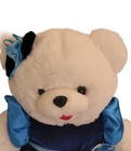 Dan Dee Snowflake Teddy Bear Girl Plush  2017 Blue Velvet Outfit Stuffed Animal