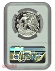 2018-w High Relief 1oz Palladium Eagle Pd 25 Ngc Pf 70