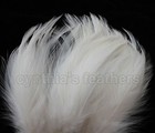 100  Ivory   Cream 5-7  Hackle Rooster Coque Feathers For Crafting  Cynthia s