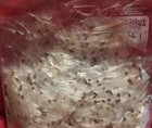  Common Milkweed Seed And Fluff 1 Oz   Bag Approx  600 Seeds By Weight 