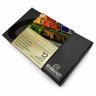 Rembrandt Artist Professional Solid Watercolor Paint Set - 12 Half Pans