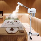 Professional Facial Steamer Hot Ozone Beauty Salon Spa Skin Care Ozone Equipment
