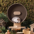 Quiet Hamster Wheel 10 2 Inch Dual-bearings Silent Small Animals Running Exercis