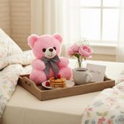 Pink Teddy Bear Stuffed Animal  8    Soft Bear Stuffed Toy-xmas Bithday Gift
