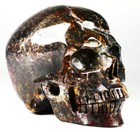 Huge 5 0  Chicken Bloodstone Carved Skull  Super Realistic  Crystal Healing