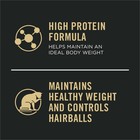 Indoor Cat Food Variety Pack - 24 Cans  3 Oz Each  Balanced Nutrition For Cats