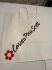 Vintage Carson Pirie Scott Paper Large Shopping Bag Multicolor