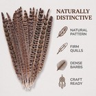 10 Pcs Long Pheasant Tail Feathers Natural Pheasant Feathers Floral Arrangeme   