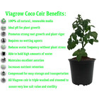 11 Lb   5kg  Coconut Coir Block Of Soilless Media