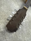 1920s Weymann   Son Style 30 Mandolin banjo - Needs A Fretboard Luthier