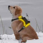 Adjustable Vest Soft Mesh Dog Harness Led Glowing Dog Cloth For Night Walking