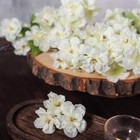 4 Ivory 40  Tall Bushes With Silk Cherry Blossoms Flowers Party Wedding Bouquets