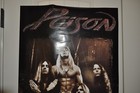 Poison Rock Band Poster Native Tongue Album Promo 1992 Vintage Original 20x30