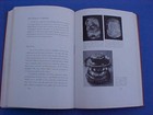 Whitlock   Ehrmann  The Story Of Jade - - - - Important Jade Book