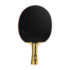  dhs Sports Usa  H4002 4 Star Table Tennis Racket Shakehand Intermediate Paddle