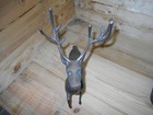 Bronze Statue Of Deer  Stag  Excellent Condition