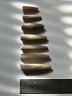 Belemnite Set 7 Ancient Squid         Fossils W Runton Norfolk Uk 360 Million Years