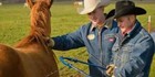 The Original Texas Fence Fixer - Made In Texas Usa