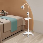 Dental Teeth Surgical Examination Light  Medical Exam Lamp  Led Examination Lamp