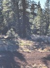 Land For Sale In California