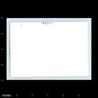 Old Vintage Photo Woman In Living Room