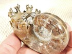 Larger  Polished Chambered Ammonite Fossil With Stand  From Madagascar 221gr