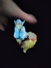 Vintage Norcrest Japan Anthropomorphic Blue Birds Mama Baby On Nest Planter