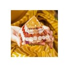 Shri Shree Yantra Pyramid Shri Laxmi Lakshmi Yantra Gomti Chakra Laxmi Pyramid