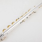 Af301 Alto Flute G Tune 16 Closed Hole Keys Sliver Plated Professional With Case